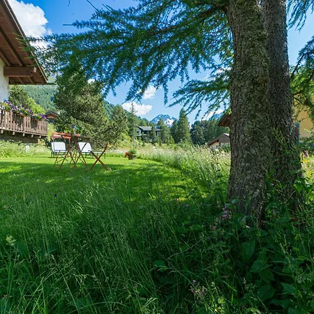 Chesa Muot Mulin Tatil Evi